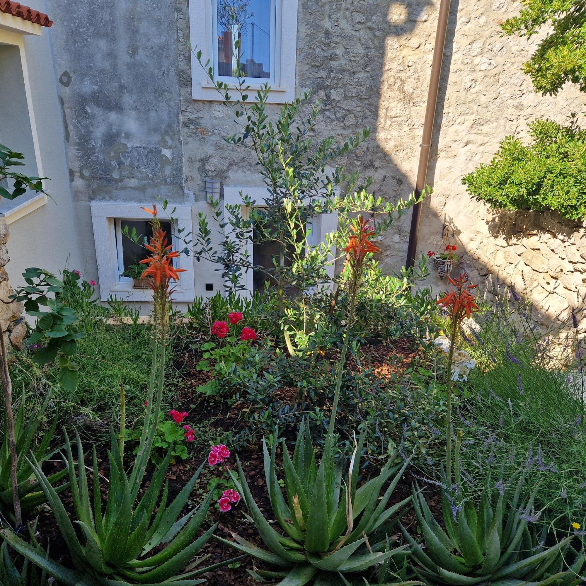 Ferienwohnung Castel Mali Lošinj Exterior foto